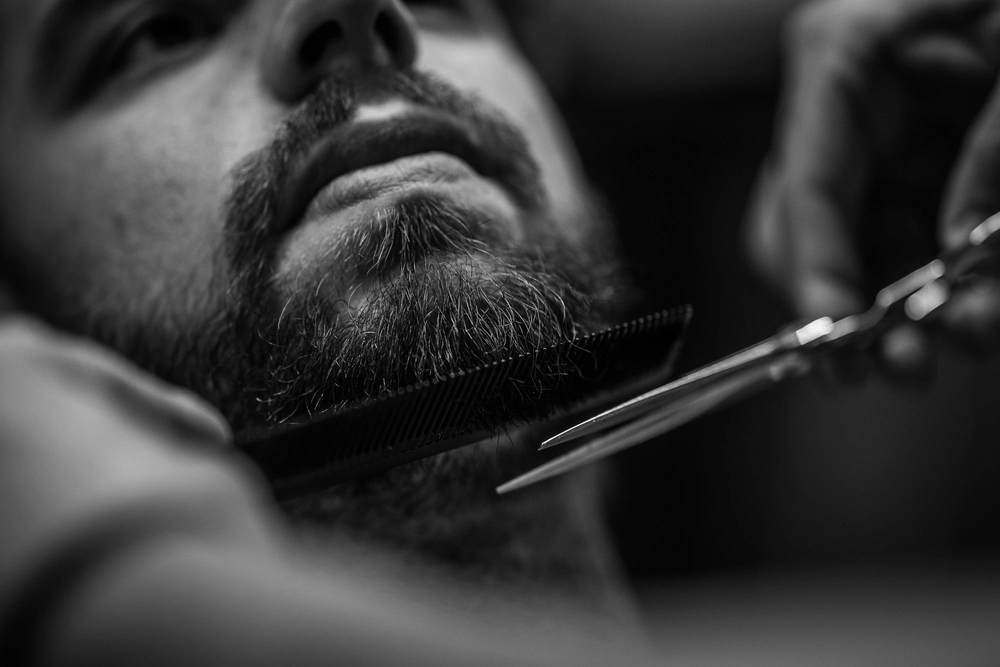 Beard, comb and scissors in close-up