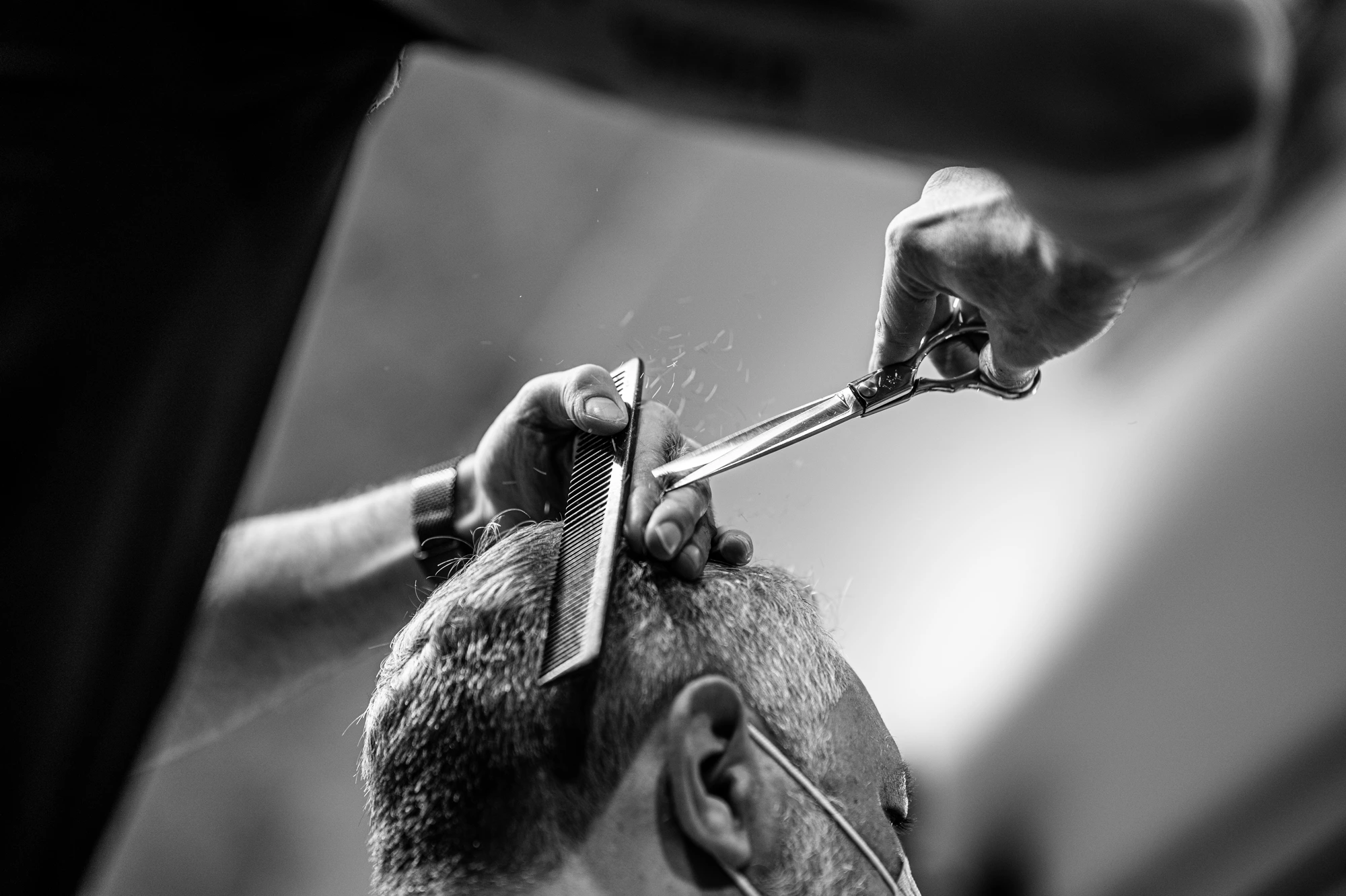 Scissors and barber comb on gray hair