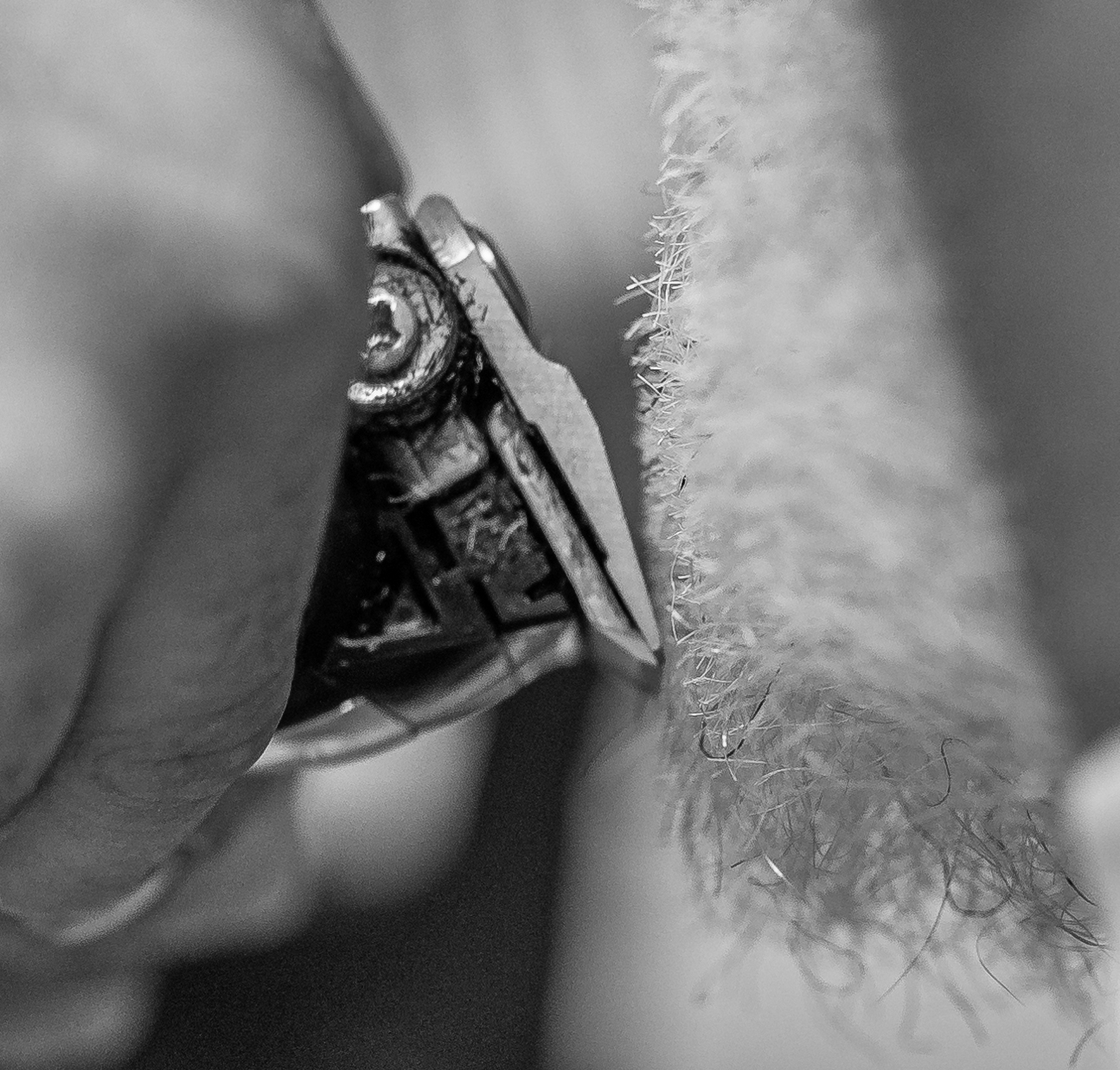 Extreme macro of the hair clipper head on the beard